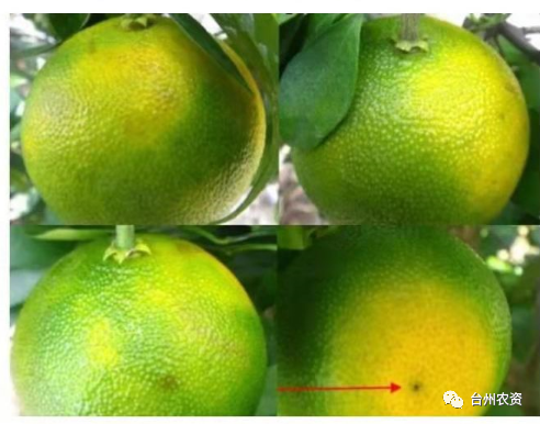 1675672566710024.png 640 (66).png